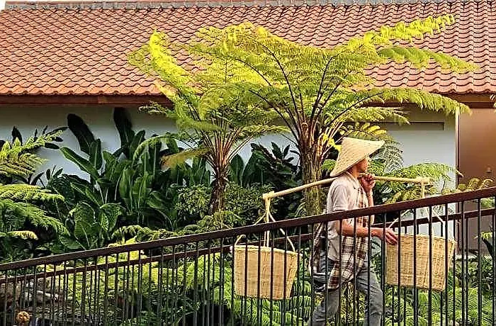 Dusun Bedugul Asri ホテル