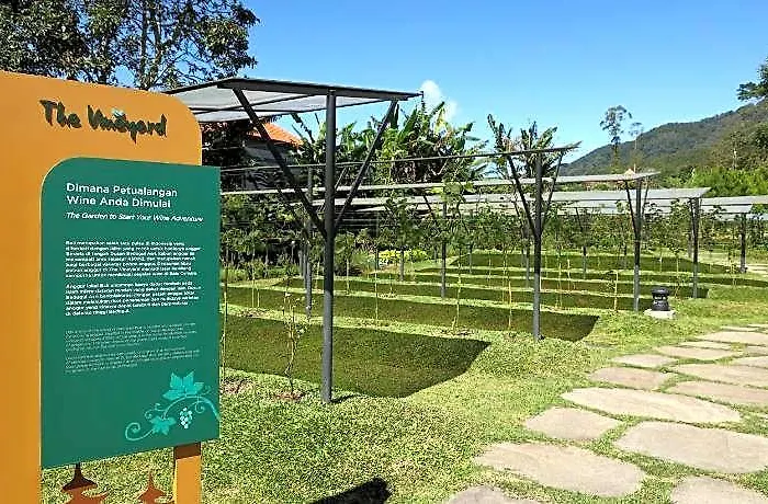 ホテル Dusun Bedugul Asri