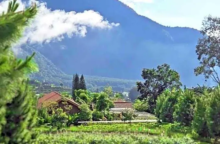 ホテル Dusun Bedugul Asri 5*