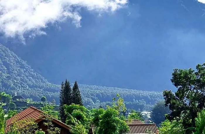Dusun Bedugul Asri