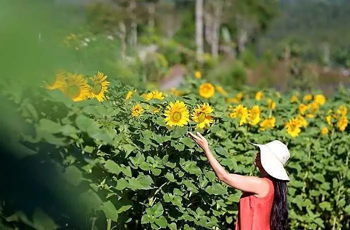 Dusun Bedugul Asri 5* バリ島