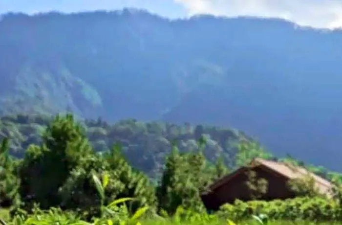 Dusun Bedugul Asri ホテル バリ島